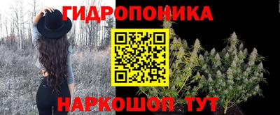 ПСИЛОЦИБИНОВЫЕ ГРИБЫ Дубна