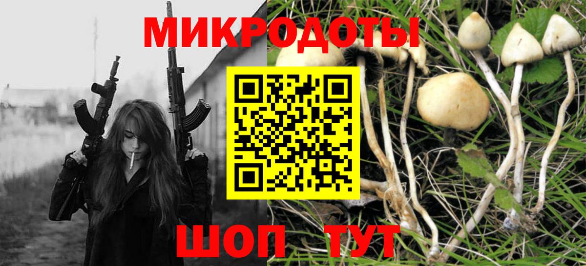 Новочебоксарск  Галлюциногенные грибы прущие грибы  Вход с VPN 
